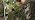 GLOWRIUM 60in Standing Grow Light, Vertical Grow Lights for Indoor Plants - Image 7
