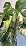 Norb NorbBOTANIC BR30 LED Grow Light – Full-Spectrum Sunlight Bulb for Indoor Plants - 14W Energy-Efficient Grow Lamp for Indoor Houseplants, Herbs, Seedlings & Tropical - E26 Base (2-Pack) - Image 7