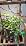 Wiaxulay Grow Lights for Indoor Plants, Full Spectrum Plant Light 12V/3A - Image 7