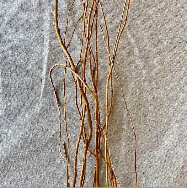 Richland Natural Curly Willow Branches 3'-4' Bundle Set of 6 - Image 4