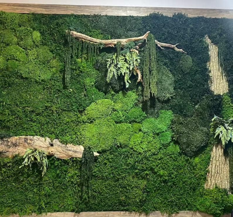 Bulk Wholesale Preserved Sheet Moss Sheet Moss Bun Moss Cushion Moss Natural Green Decorative Real Terrariums(10 sq.ft.) (Green-B) - Image 4
