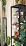 Barrina T1S Vertical Grow Light, 65W 5000K Full Spectrum, 5FT-5.6FT Height - Image 7