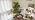 LED Grow Lights for Indoor Plants, Tripod Stand, Dual Head - Image 7