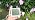 7 in 1 Soil Meter, Digital Soil Test Kit of PH/Sunlight/Fertility/Soil & Air Temp, Humidity Meter for Indoor & Outdoor Plant, Growing Environment Tester with Large LCD Display for Farm, Garden & Lawn - Image 7